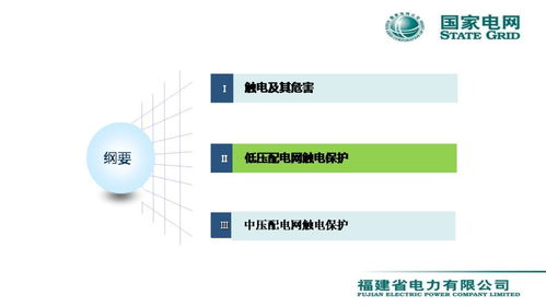 配電網觸電保護技術與服務——會議報告